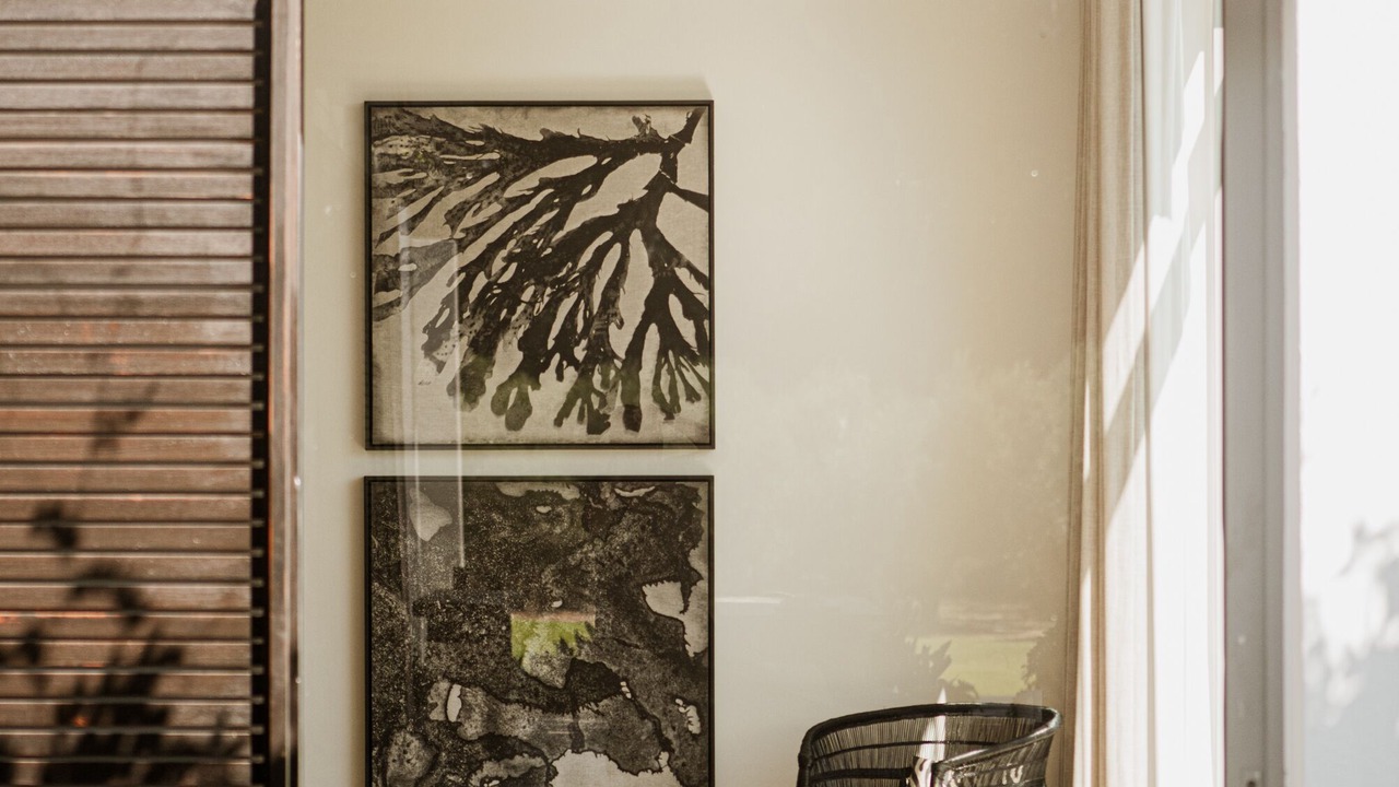 Photo of Outdoor in Franschhoek