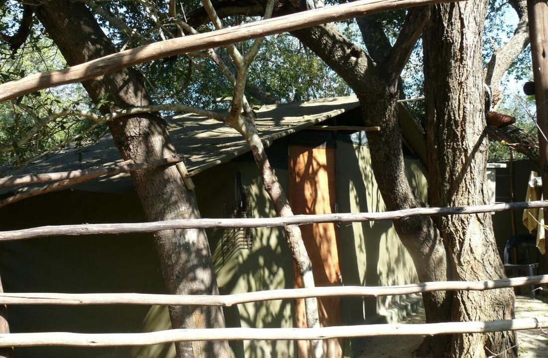 Photo of Outdoor in Thorny Bush Game Reserve