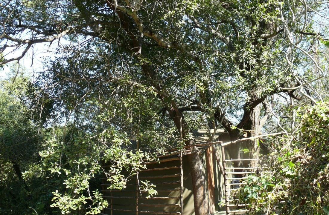 Photo of Outdoor in Thorny Bush Game Reserve