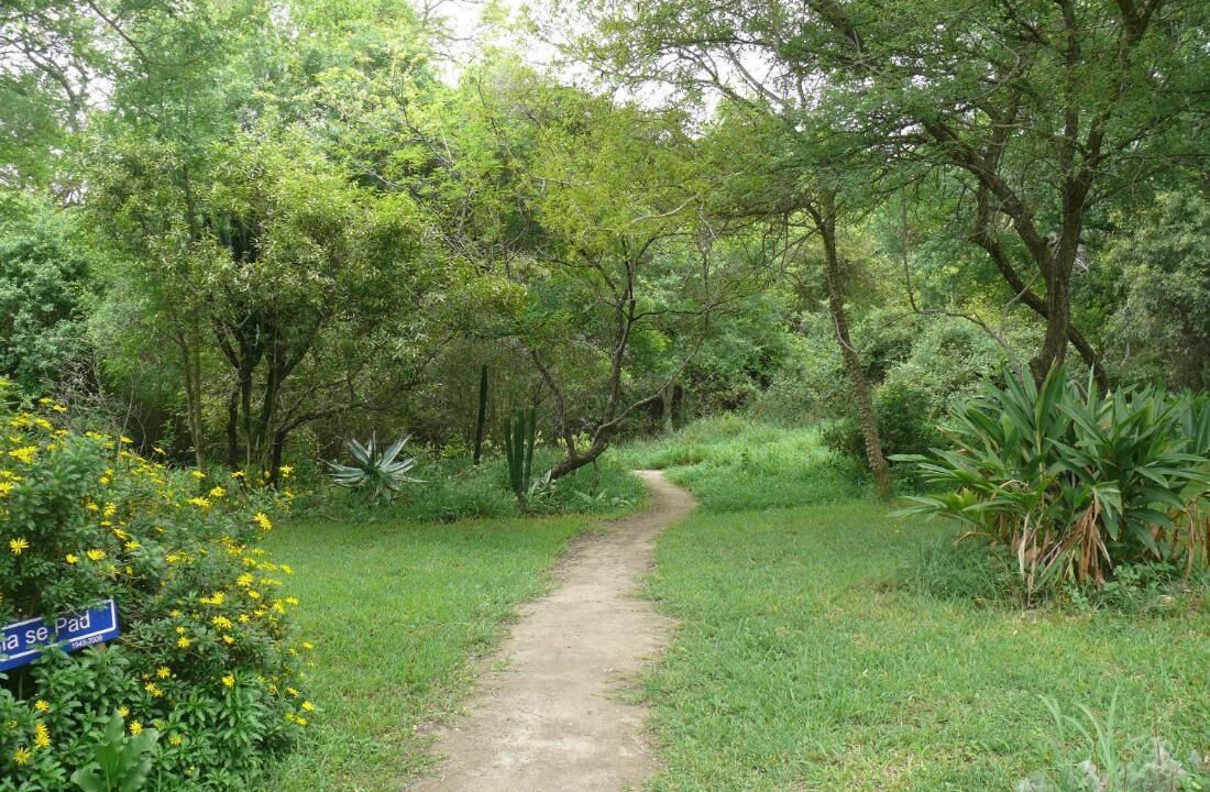 Photo of Outdoor in Thorny Bush Game Reserve