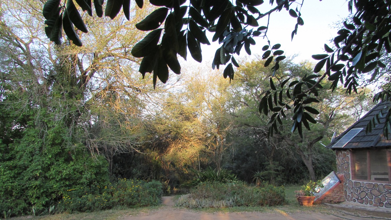 Photo of Outdoor in Thorny Bush Game Reserve