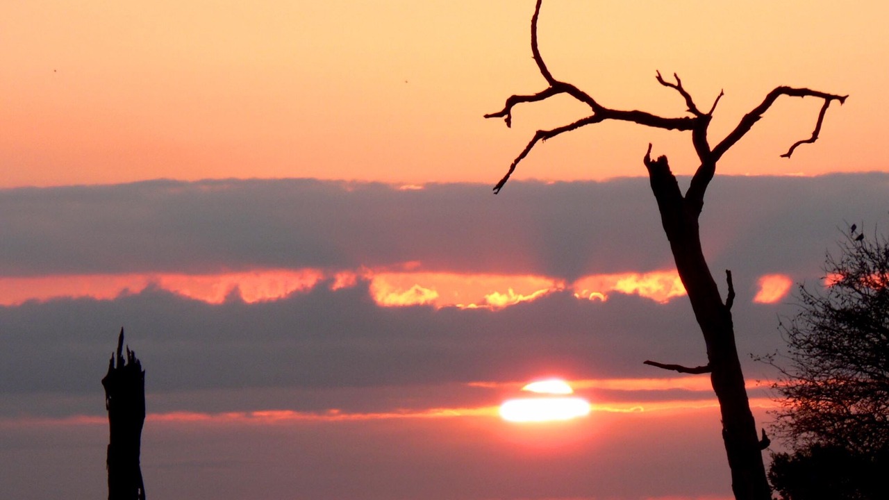 Photo of Outdoor in Thorny Bush Game Reserve