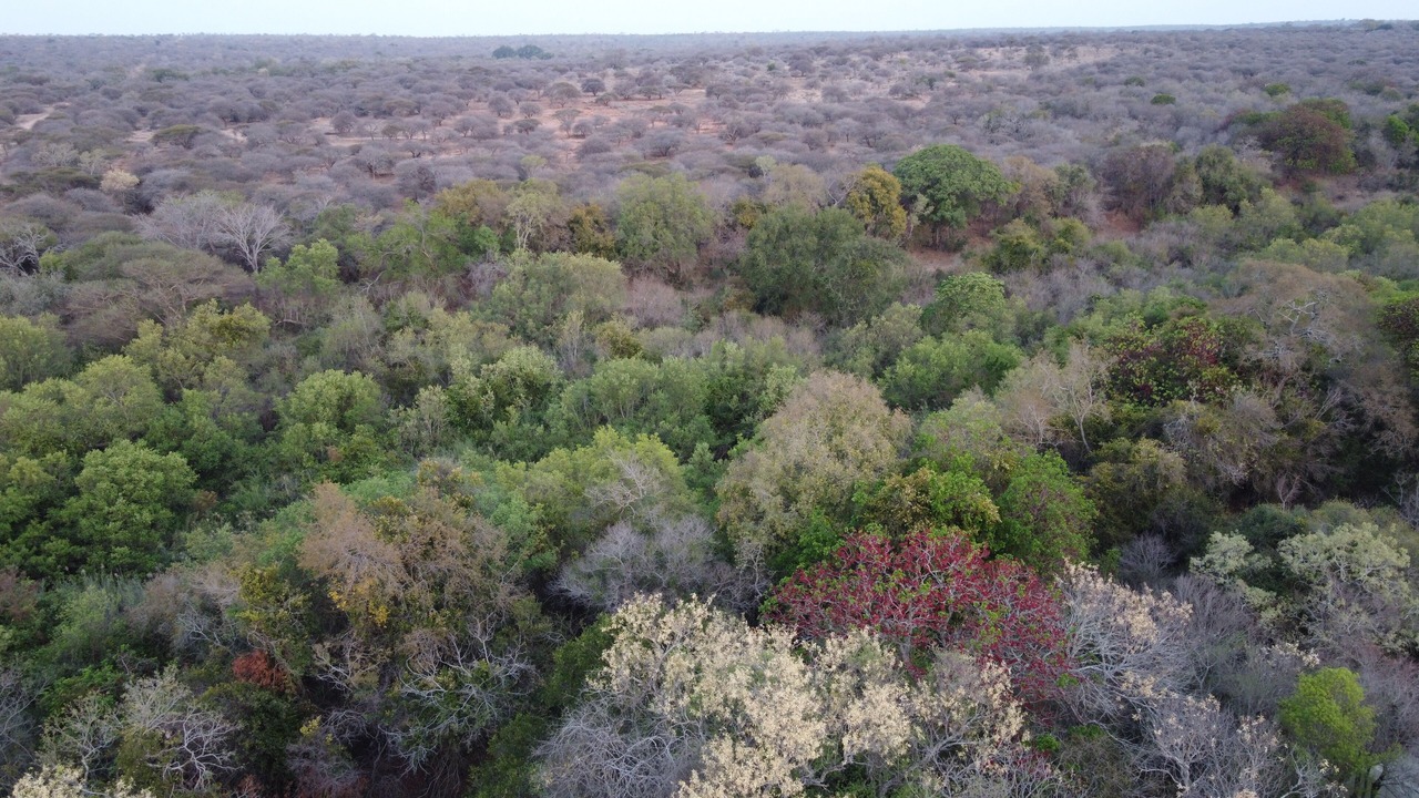 Photo of Others in Thorny Bush Game Reserve