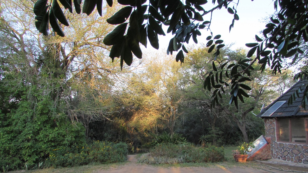 Photo of Outdoor in Thorny Bush Game Reserve