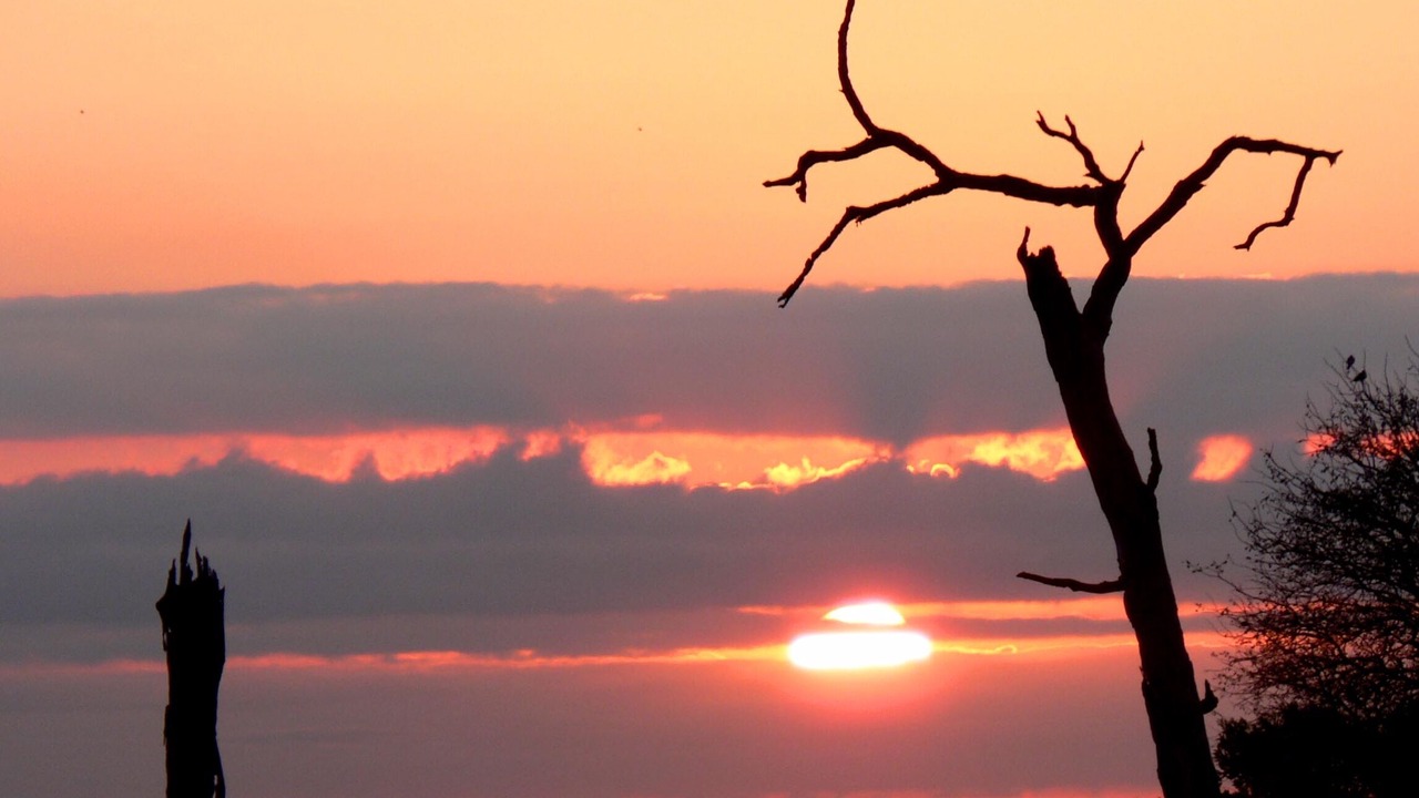 Photo of Others in Thorny Bush Game Reserve