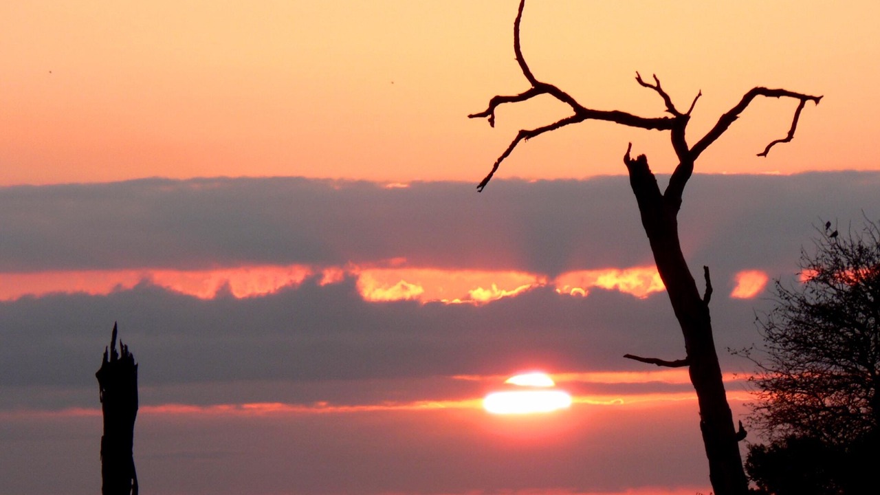 Photo of Others in Thorny Bush Game Reserve