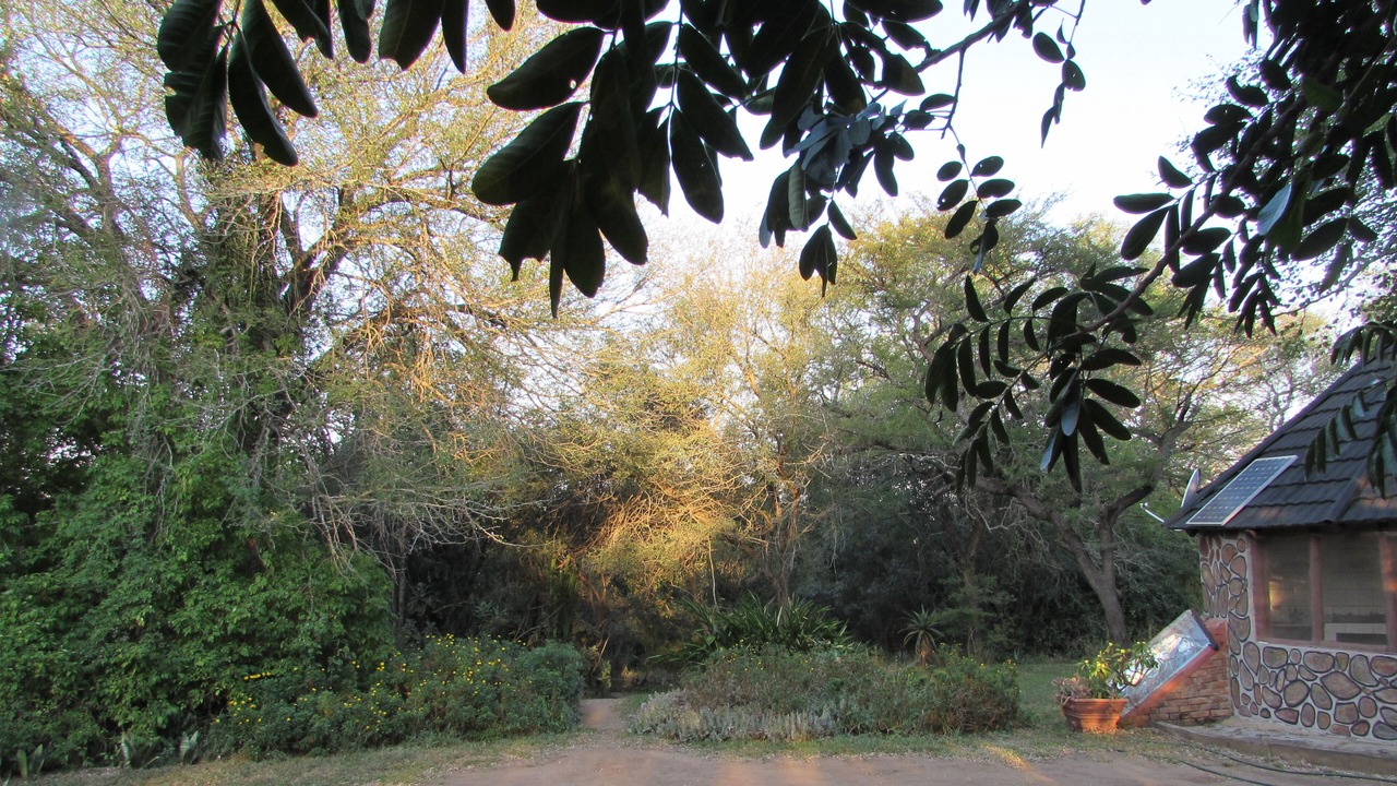 Photo of Outdoor in Thorny Bush Game Reserve