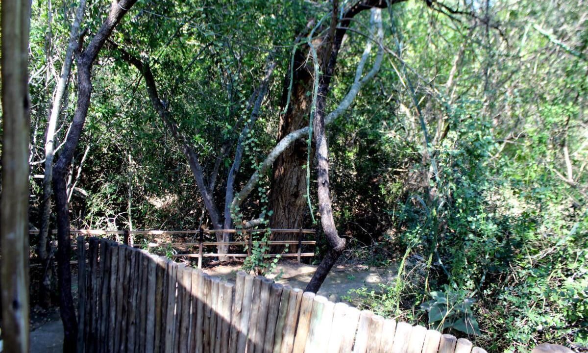 Photo of Outdoor in Thorny Bush Game Reserve