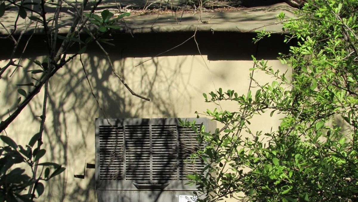 Photo of Outdoor in Thorny Bush Game Reserve