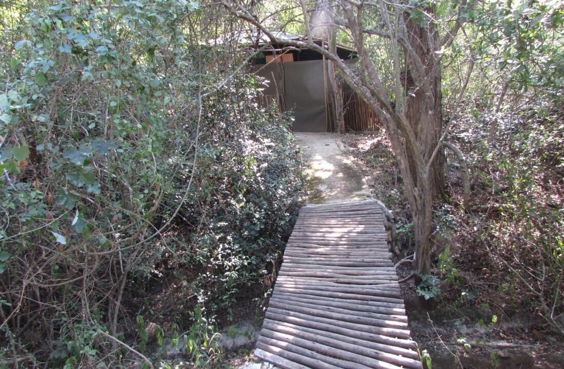 Photo of Outdoor in Thorny Bush Game Reserve