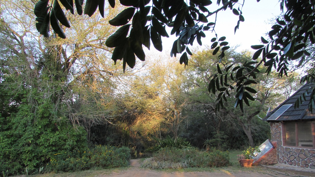 Photo of Outdoor in Thorny Bush Game Reserve
