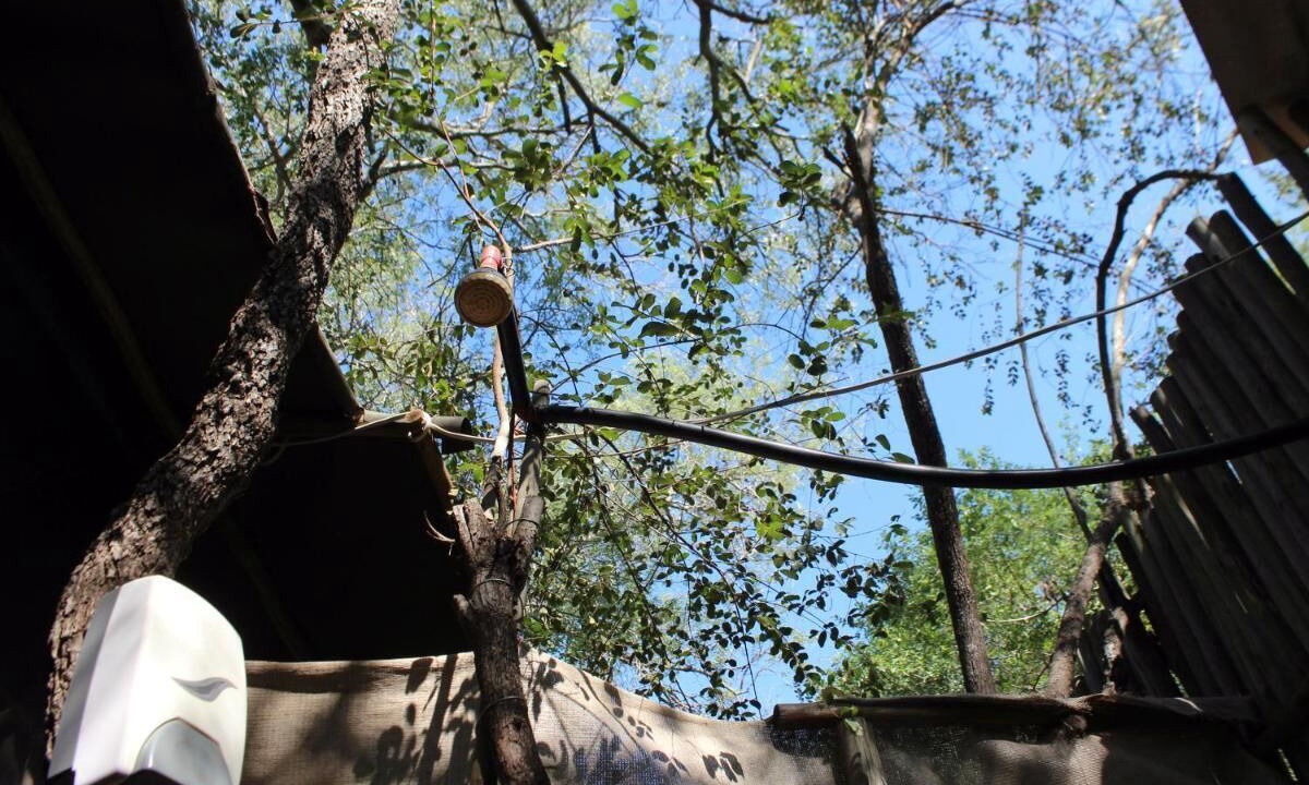 Photo of Outdoor in Thorny Bush Game Reserve