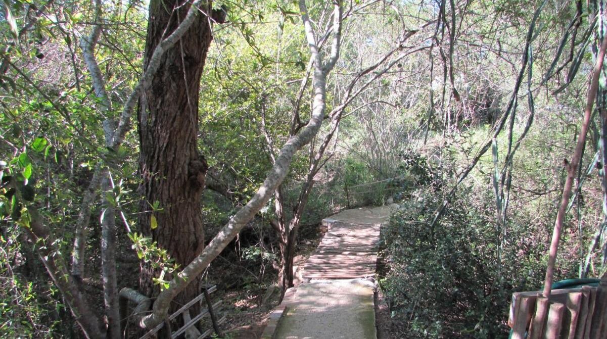 Photo of Outdoor in Thorny Bush Game Reserve