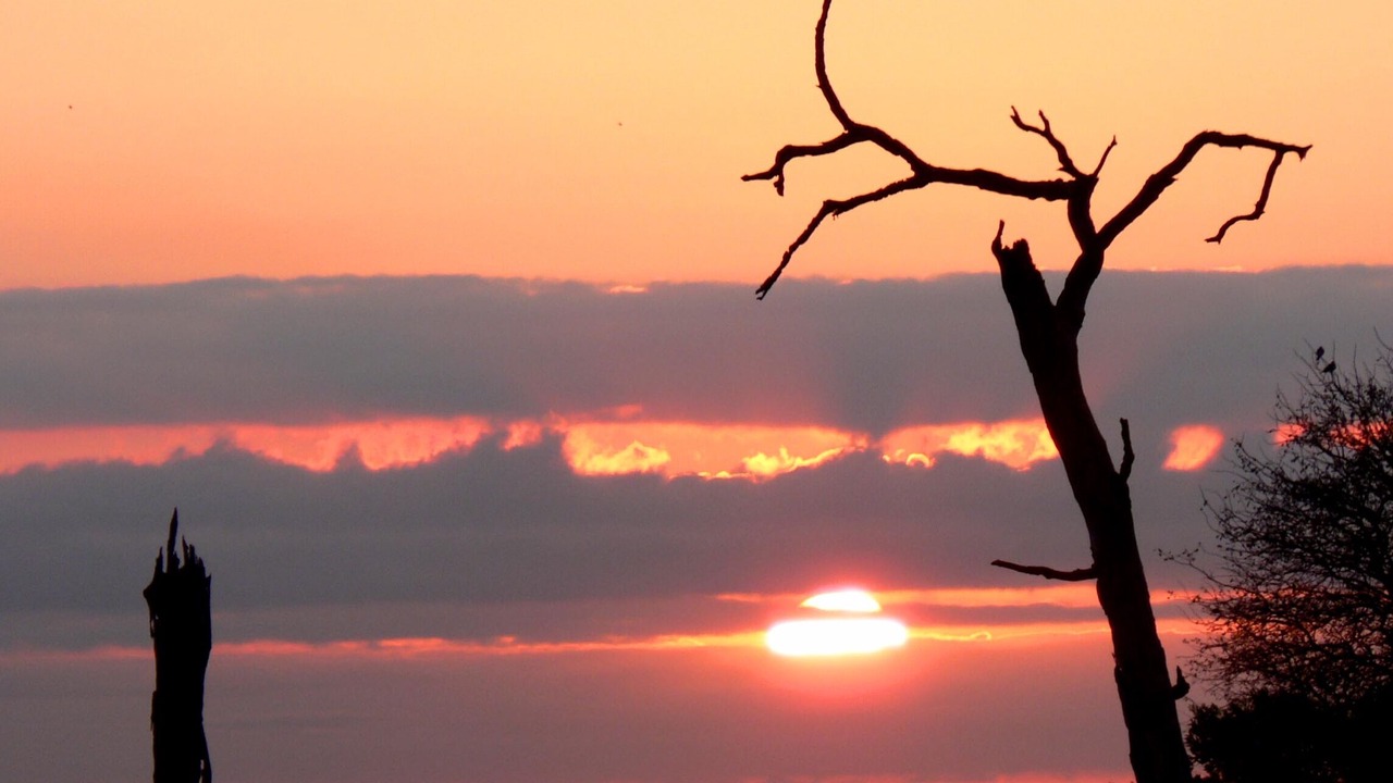 Photo of Outdoor in Thorny Bush Game Reserve