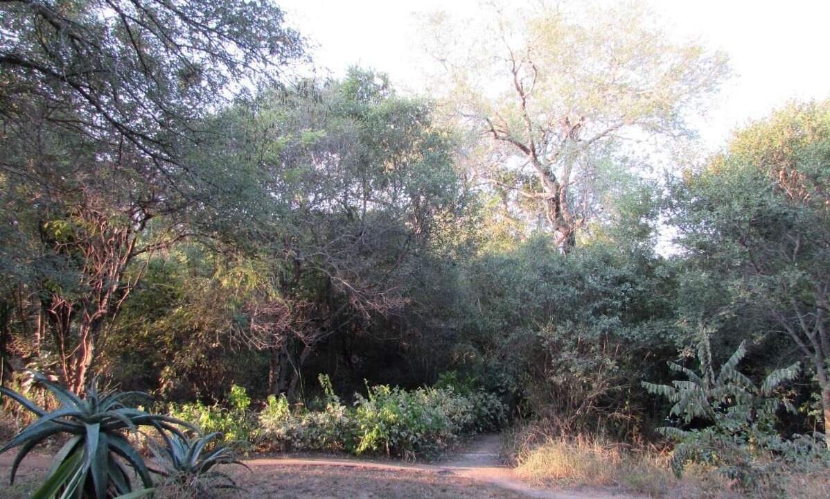 Photo of Outdoor in Thorny Bush Game Reserve