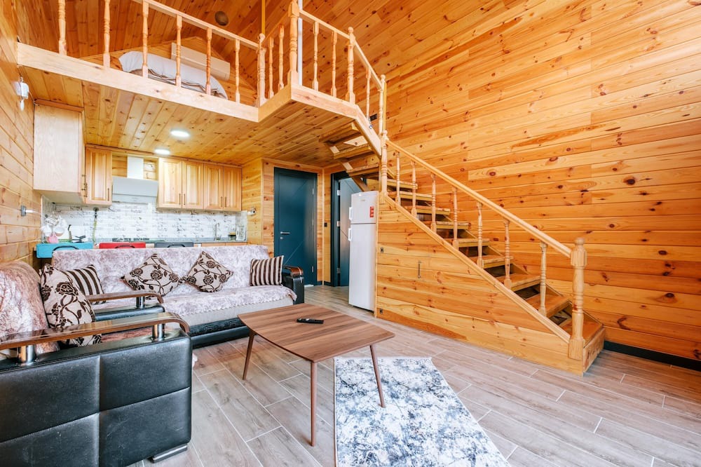 Photo of Livingroom in Sapanca