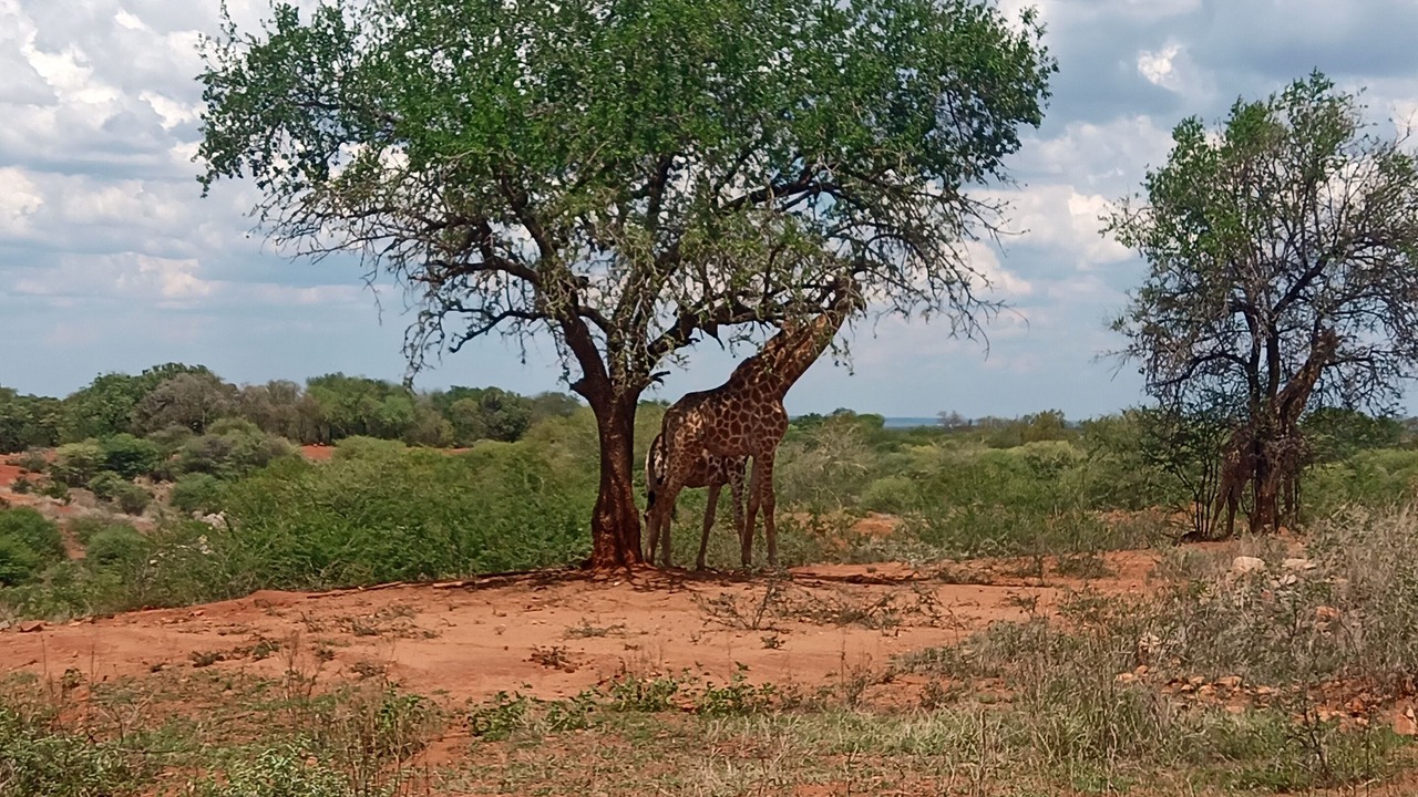 Photo of Outdoor in Boshoek