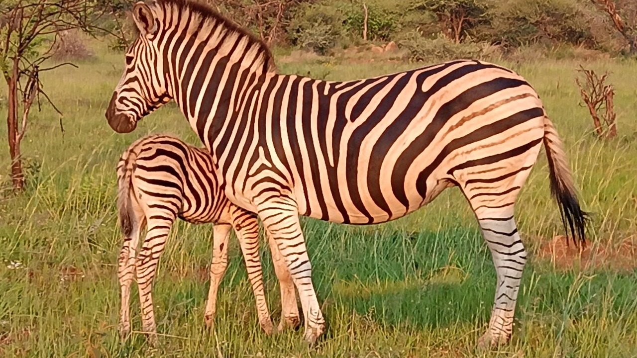 Photo of Outdoor in Boshoek