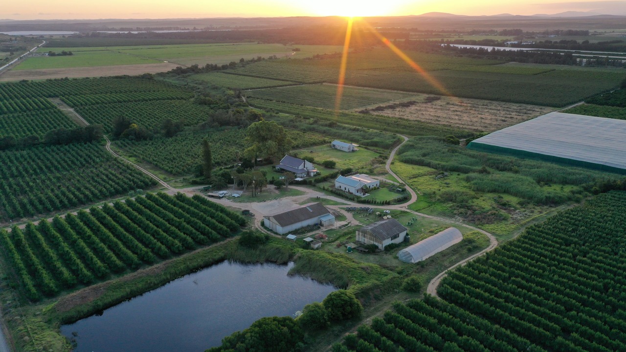 Photo of Outdoor in Swellendam