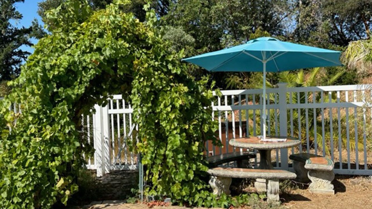 Photo of Outdoor in Hopland