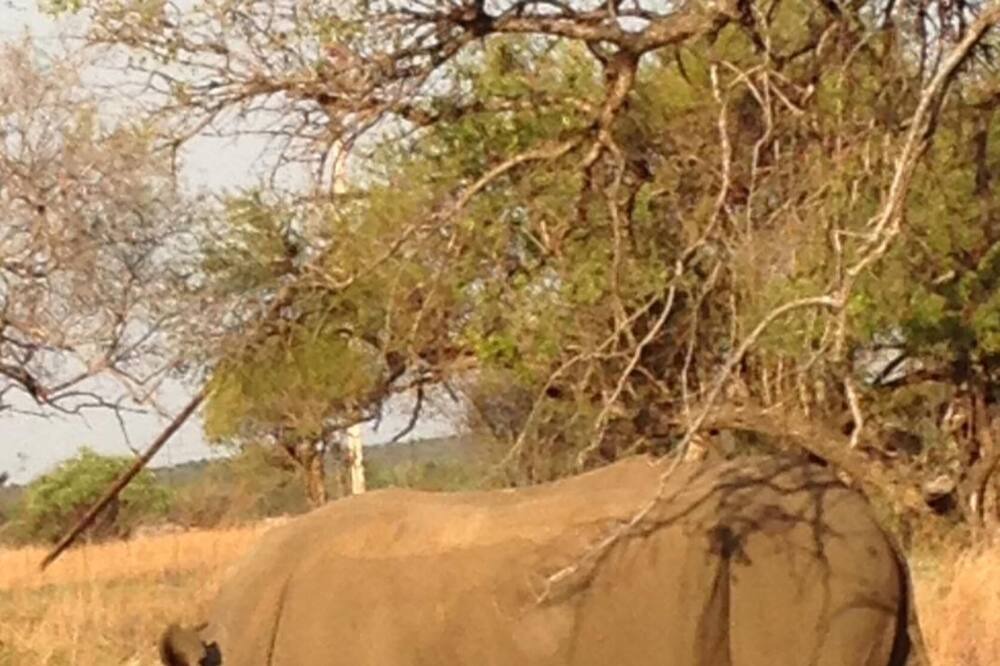 Photo of Others in Hammanskraal