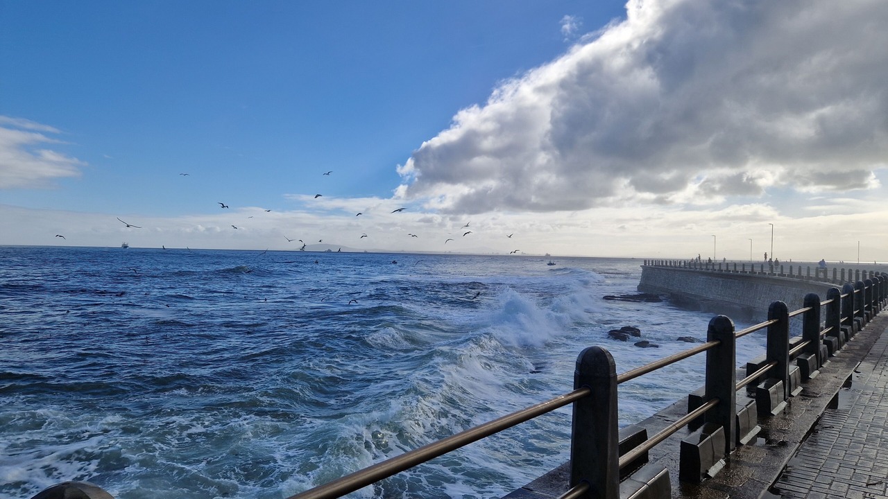 Photo of Others in Green Point