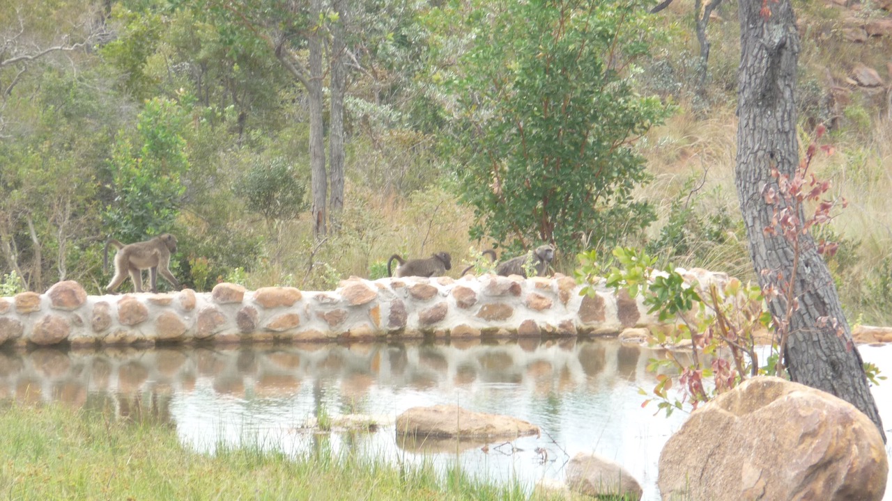 Photo of Outdoor in Vaalwater