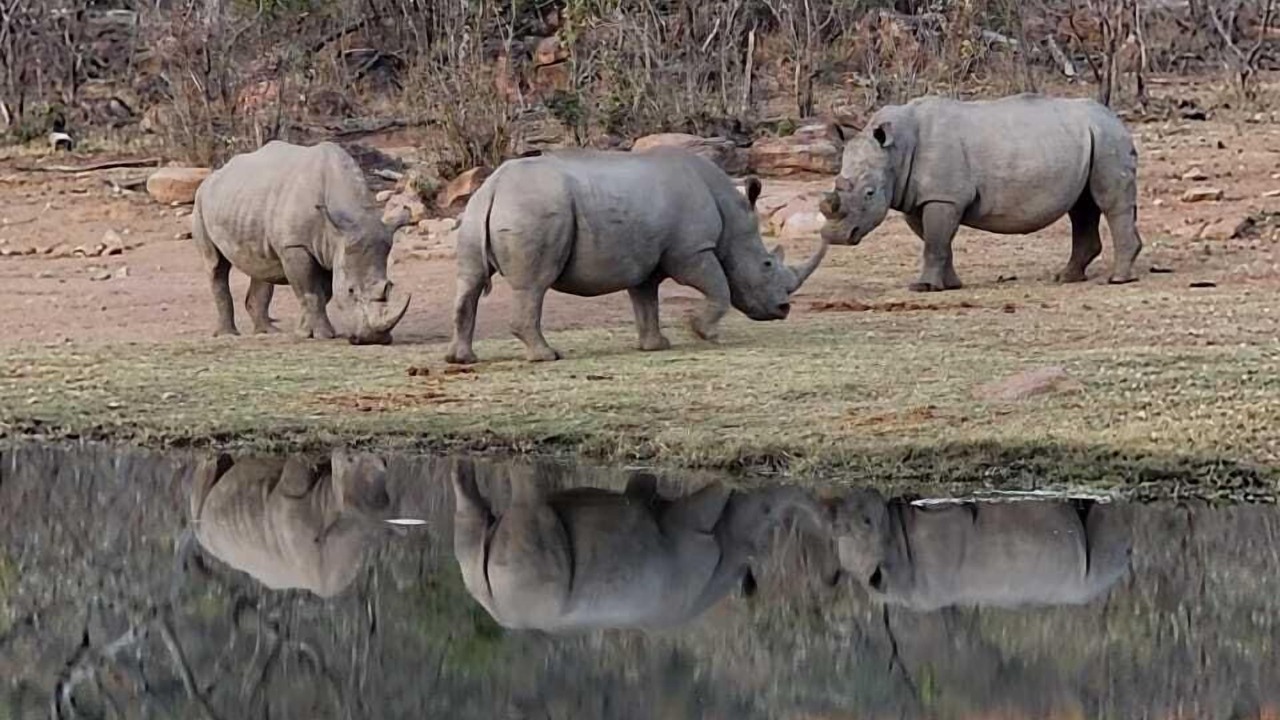 Photo of Outdoor in Vaalwater
