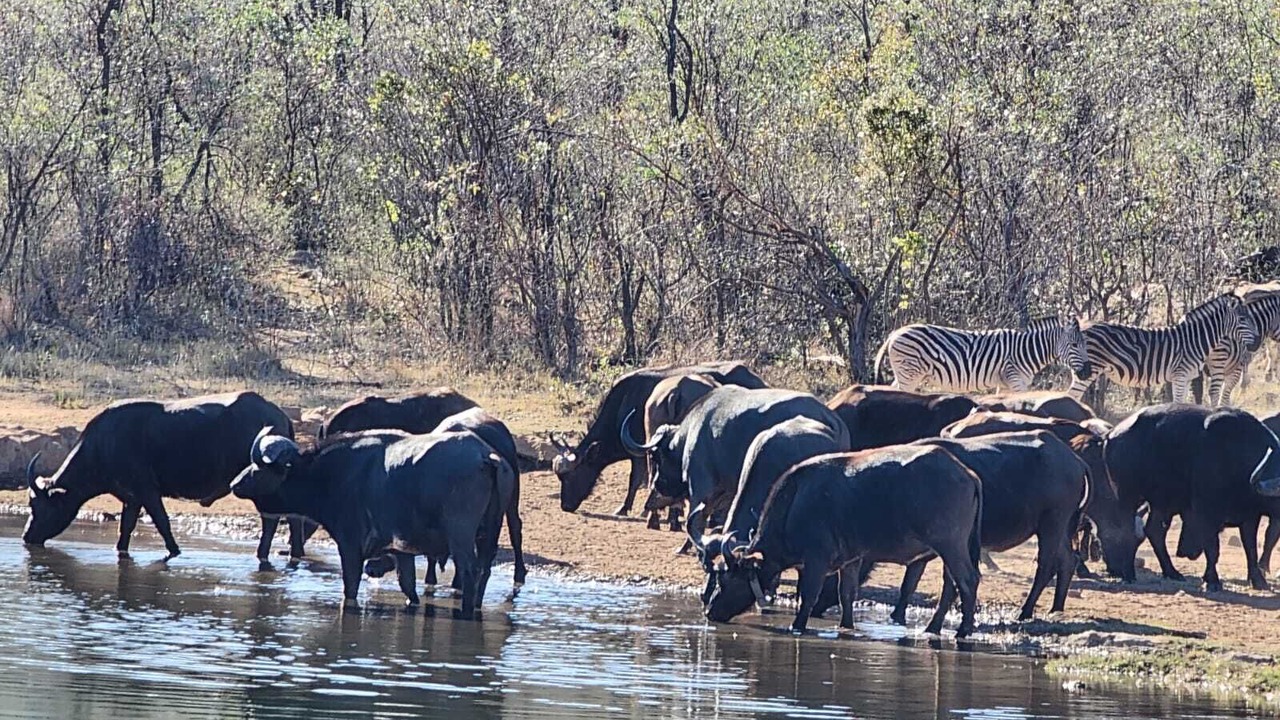 Photo of Outdoor in Vaalwater