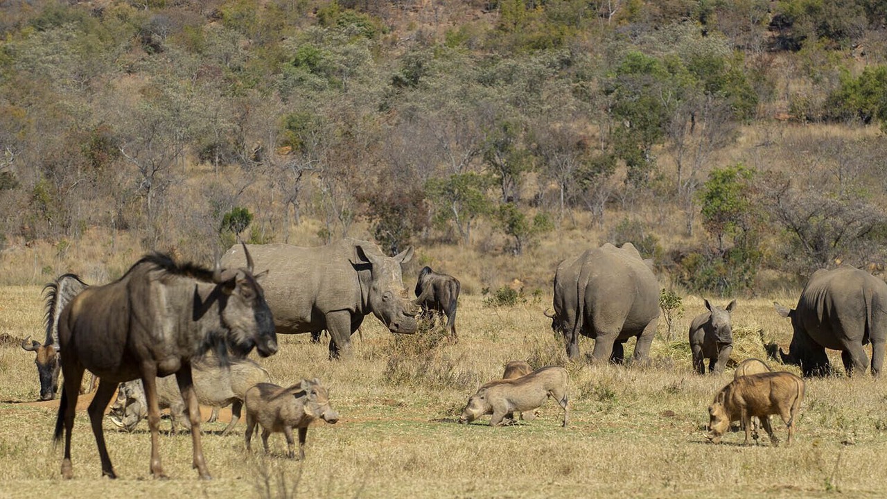 Photo of Outdoor in Vaalwater