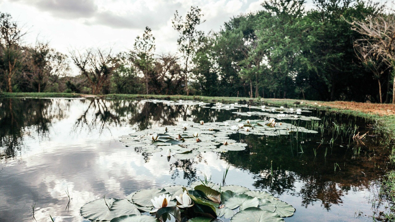 Photo of Outdoor in Protea Ridge