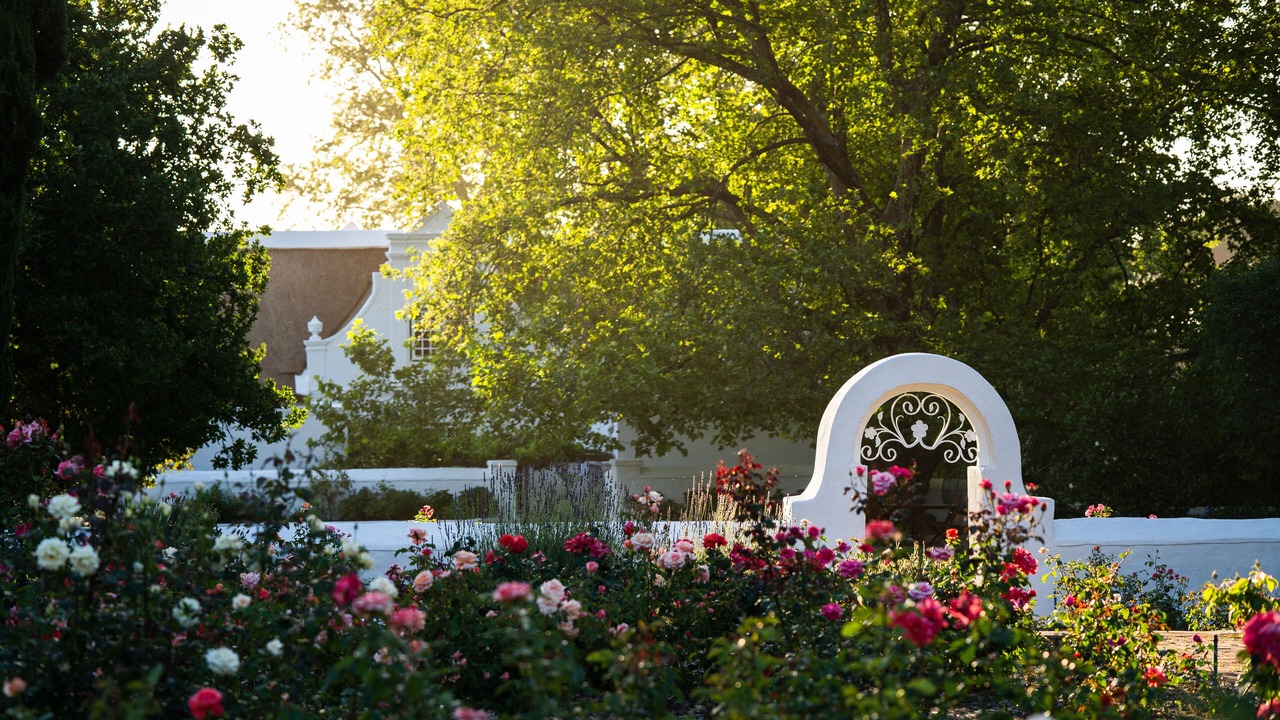Photo of Outdoor in Stellenbosch