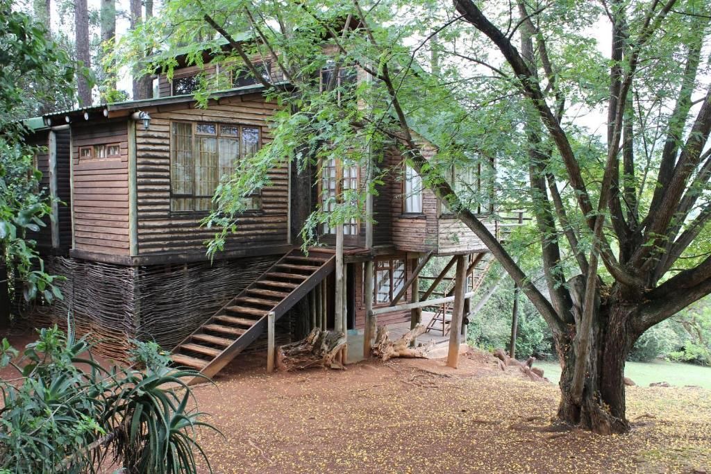 Photo of Outdoor in Giant's Castle Game Reserve