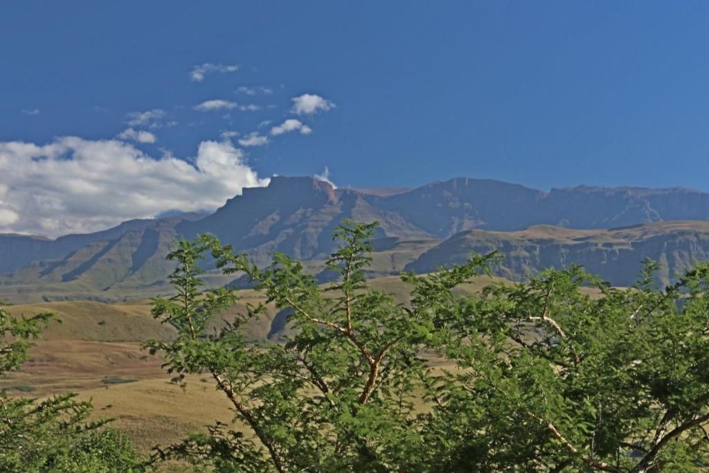 Photo of Others in Giant's Castle Game Reserve