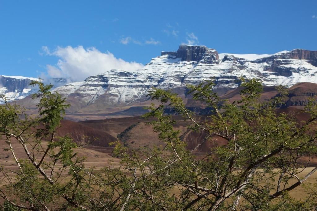 Photo of Others in Giant's Castle Game Reserve