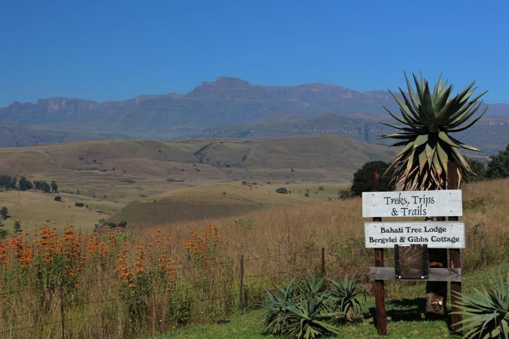 Photo of Outdoor in Giant's Castle Game Reserve