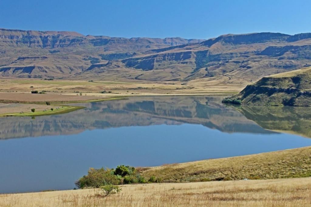 Photo of Others in Giant's Castle Game Reserve