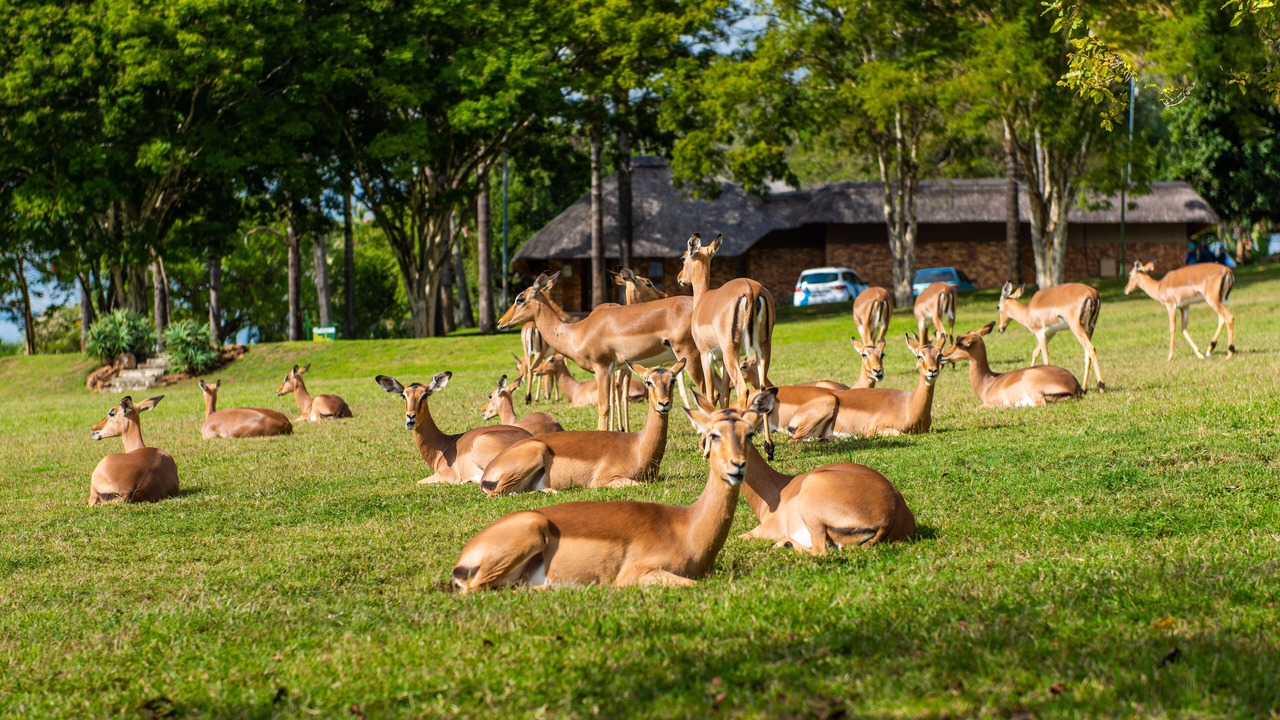 Photo of Outdoor in Hazyview