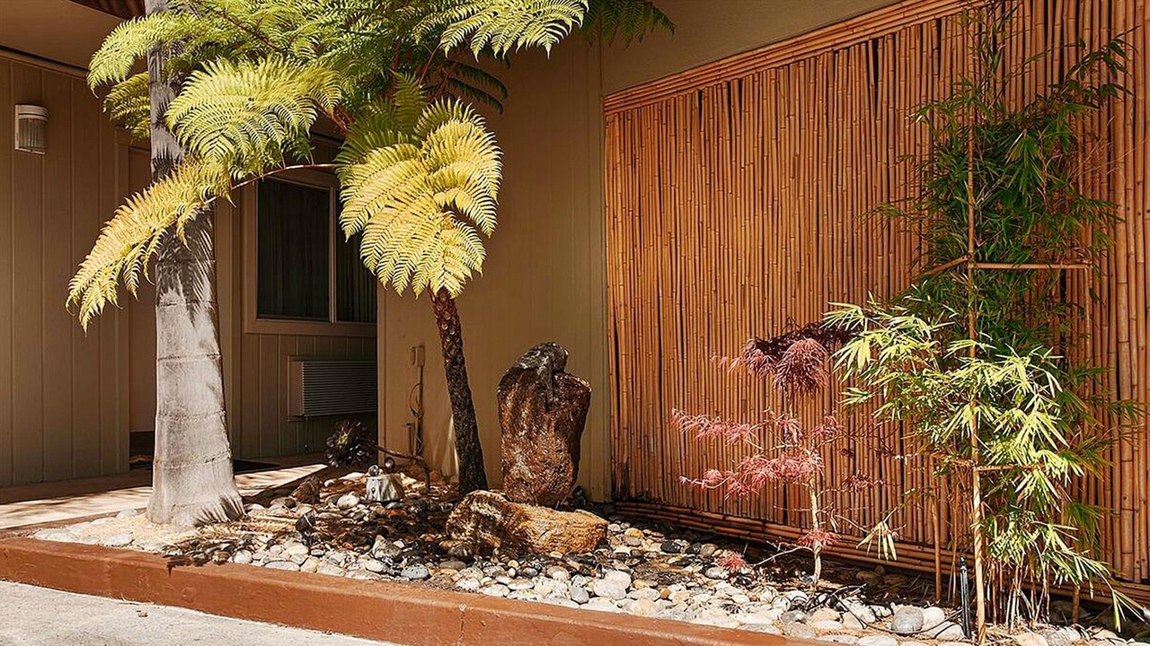 Photo of Outdoor in Palo Alto
