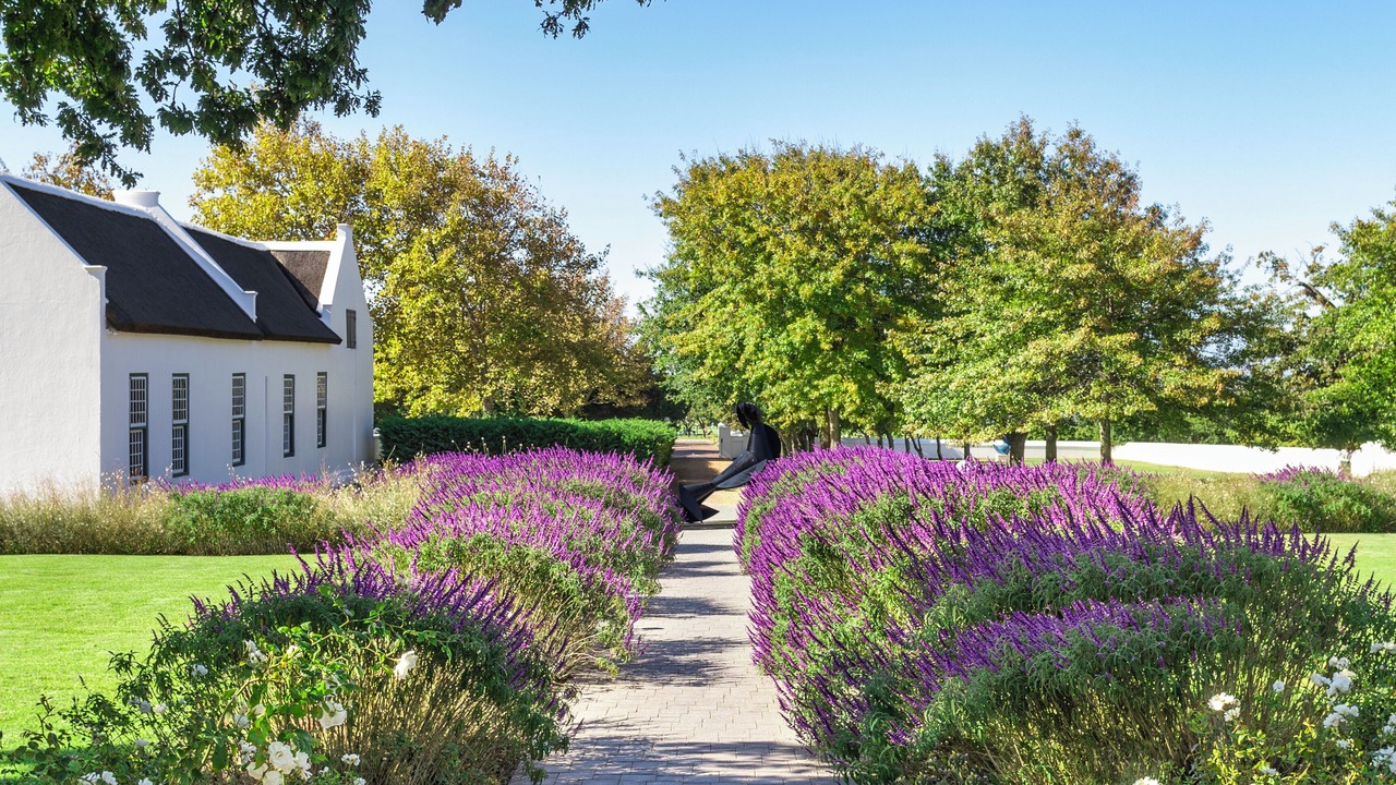 Photo of Outdoor in Steenberg Estate
