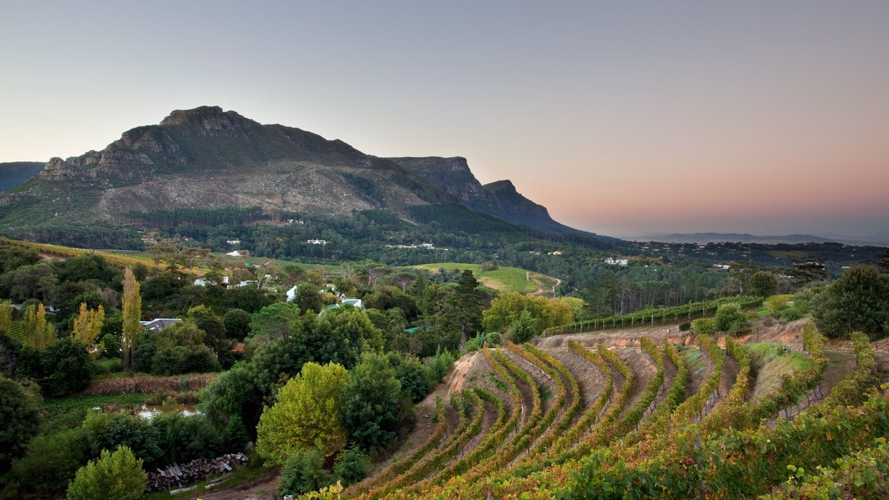 Photo of Others in Steenberg Estate