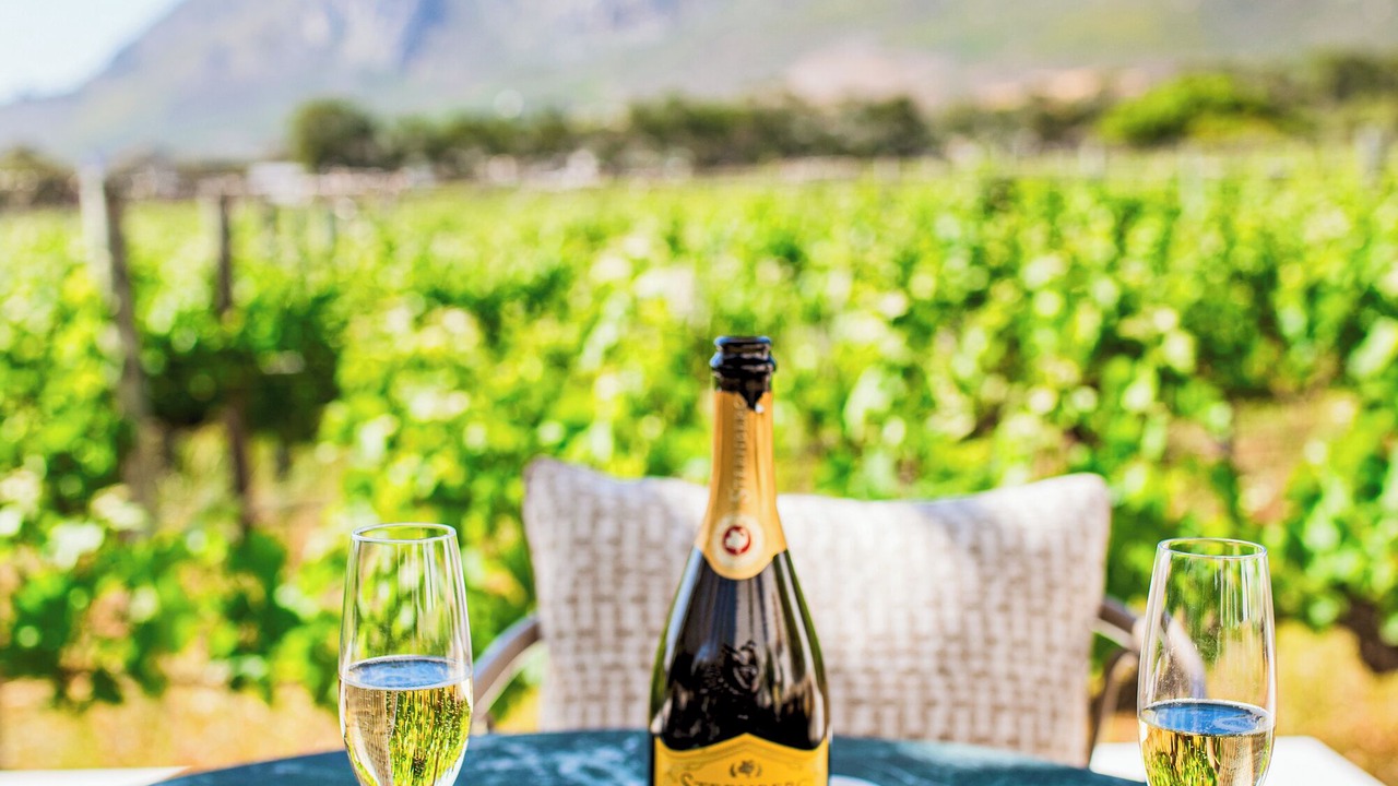 Photo of Others in Steenberg Estate