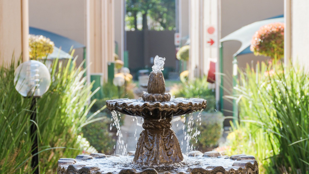Photo of Outdoor in Bedfordview