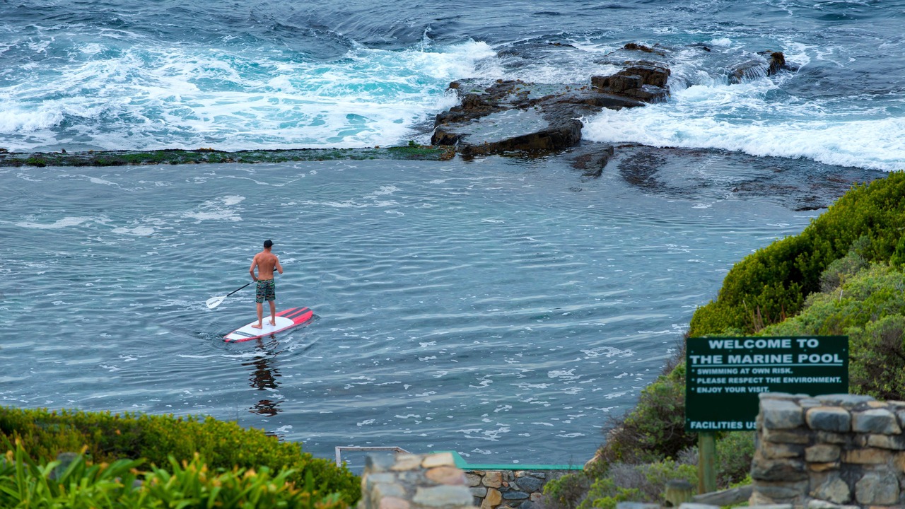 Photo of Others in Hermanus City-Centre