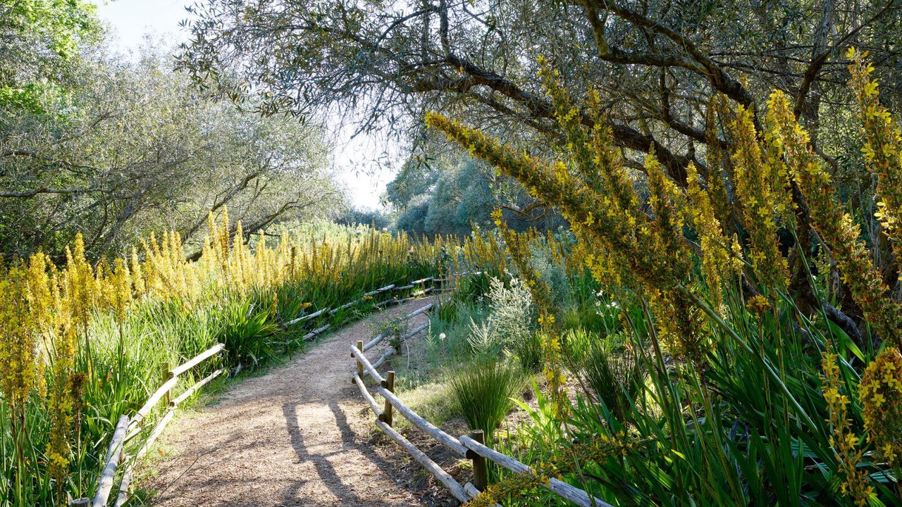 Photo of Outdoor in Stellenbosch
