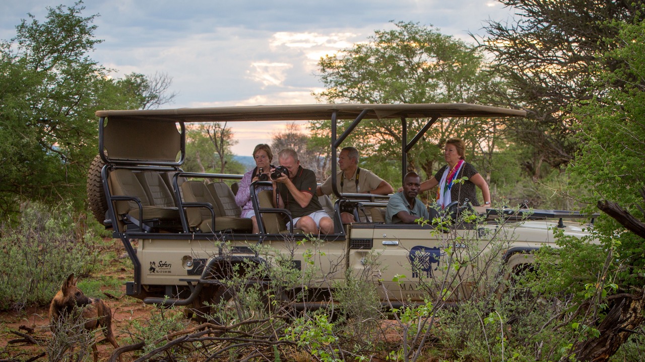 Photo of Others in Madikwe Game Reserve