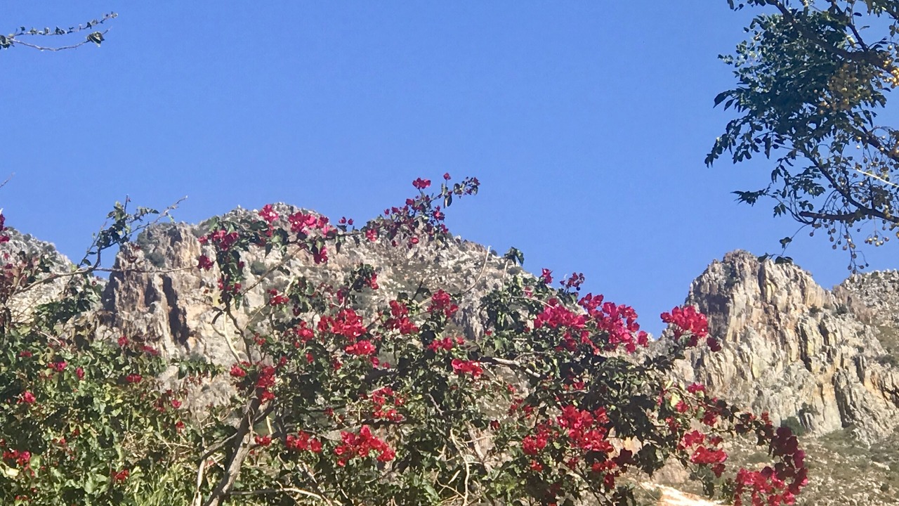 Photo of Outdoor in Gordons Bay Central