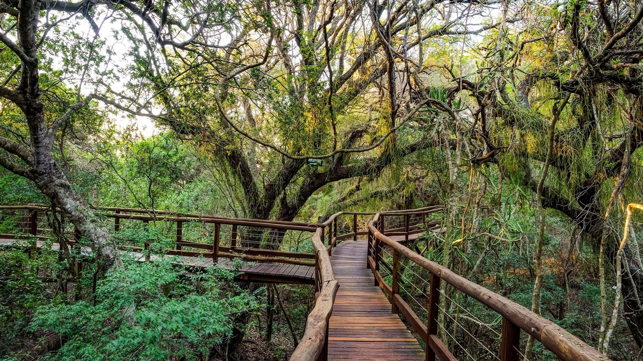 Photo of Others in KwaNibela