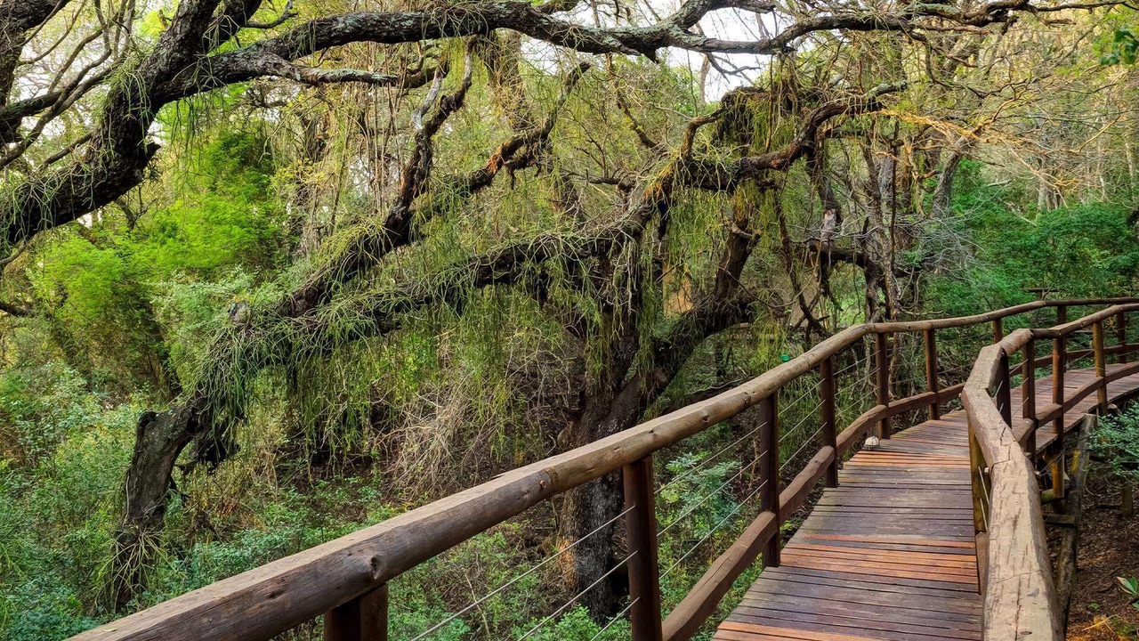 Photo of Others in KwaNibela