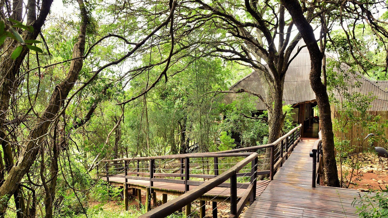 Photo of Others in KwaNibela